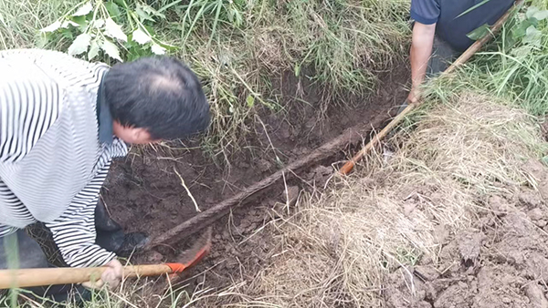 忠縣分公司石寶、紅星客運(yùn)碼頭對(duì)消落期港區(qū)系泊設(shè)施設(shè)備進(jìn)行維護(hù)保養(yǎng)3.jpg